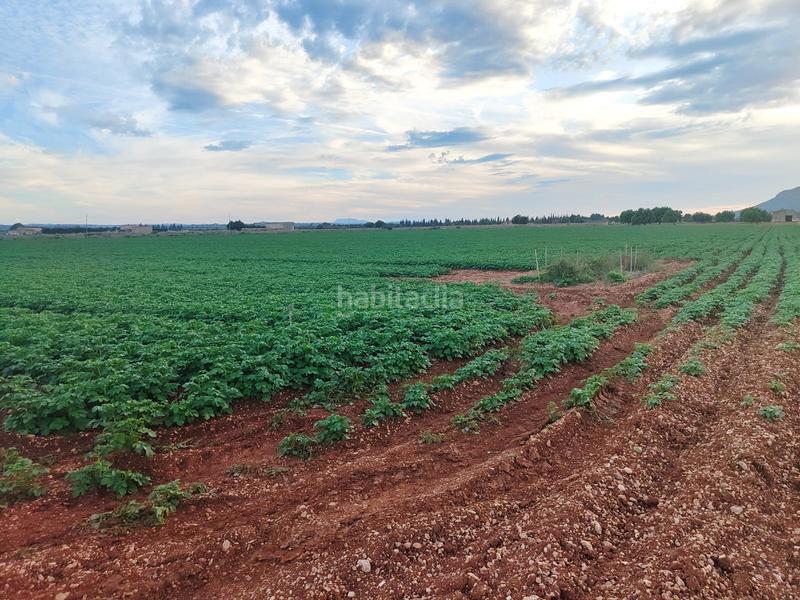 Foto 55f104cf-6c81-4b17-8e0f-8ad51a6ec797. Fondo rustico in carrer major 18 in Búger