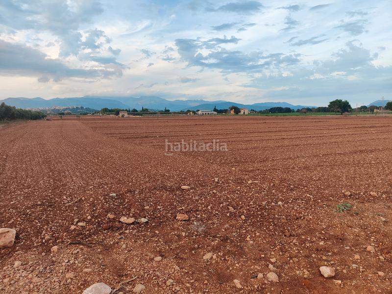 Foto 5814e54c-081e-4008-b75b-49d23c68425b. Fondo rustico in carrer major 18 in Búger