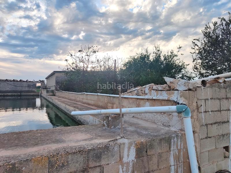 Foto 62540098-be75-452e-92cc-2620829dab30. Fondo rustico in carrer major 18 in Búger