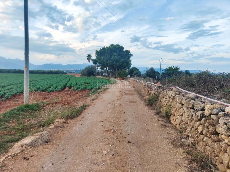 Foto 63fb5997-3937-45f3-96d7-fd6764051278. Fondo rustico in carrer major 18 in Búger