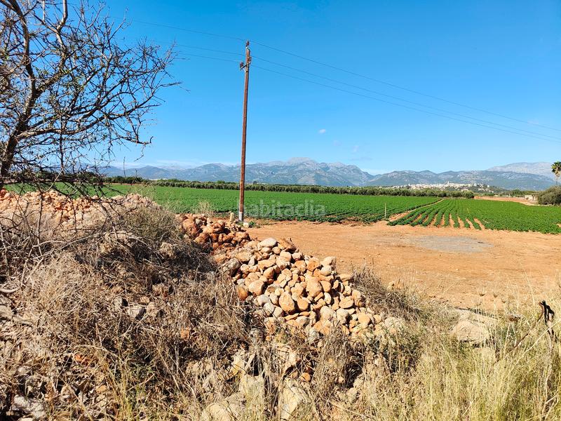 Foto 65f71d80-e279-462d-8ba6-d27405129a4b. Fondo rustico in carrer major 18 in Búger