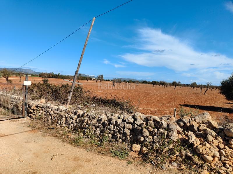 Foto 6d350c86-b30d-415d-8e94-9e7092489061. Fondo rustico in carrer major 18 in Búger