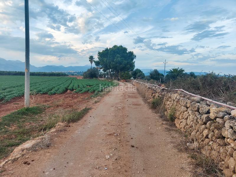 Foto 7175f16b-f99c-4f92-8e90-16f2a1289198. Fondo rustico in carrer major 18 in Búger