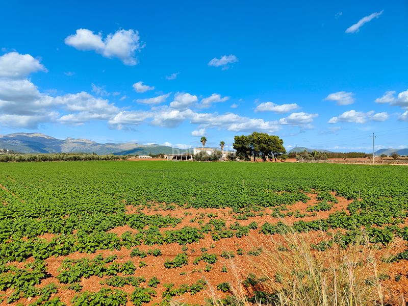 Foto 71fe1713-5c90-4357-885f-b4d6cb91419e. Fondo rustico in carrer major 18 in Búger