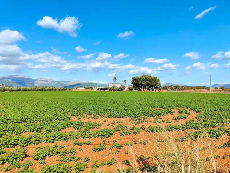 Foto 8f5afe69-b9ae-473a-846a-b2847a7d4e13. Fondo rustico in carrer major 18 in Búger