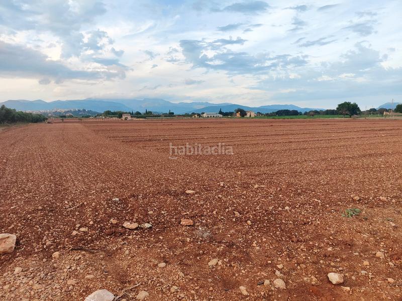 Foto a5269d60-9176-4f3f-b69f-b4f55f4c7527. Fondo rustico in carrer major 18 in Búger