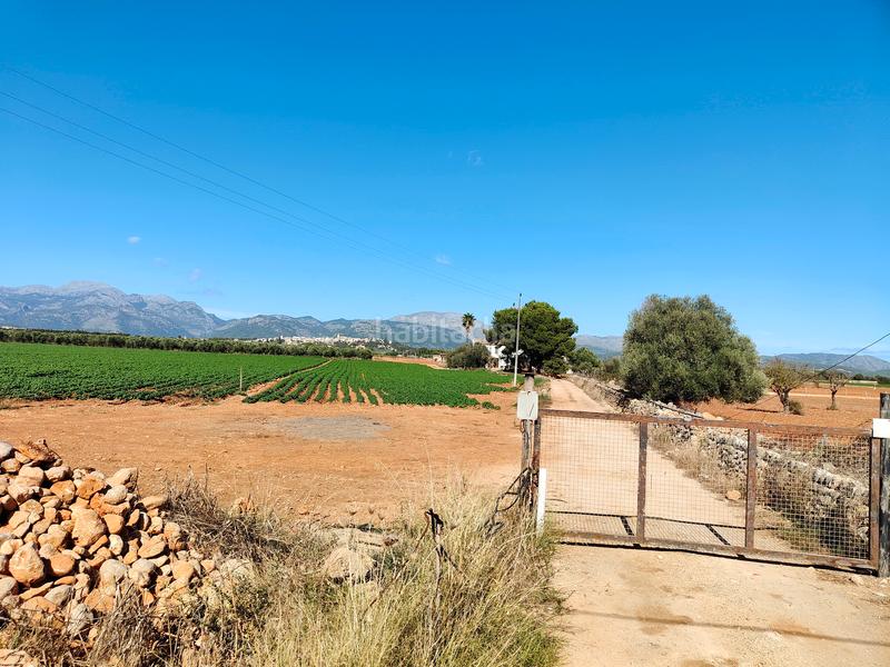 Foto b54329c6-4d8e-47c9-bce7-4d273eada711. Fondo rustico in carrer major 18 in Búger