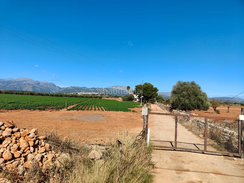 Foto bf0ba46c-324a-43b1-967b-cc0261c882cf. Fondo rustico in carrer major 18 in Búger