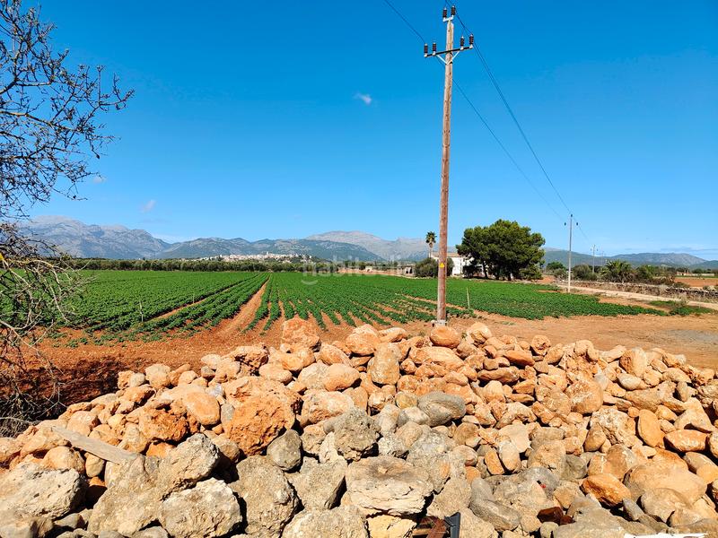 Foto ca872387-3e99-4c0a-a16c-8ea4be429bcb. Fondo rustico in carrer major 18 in Búger