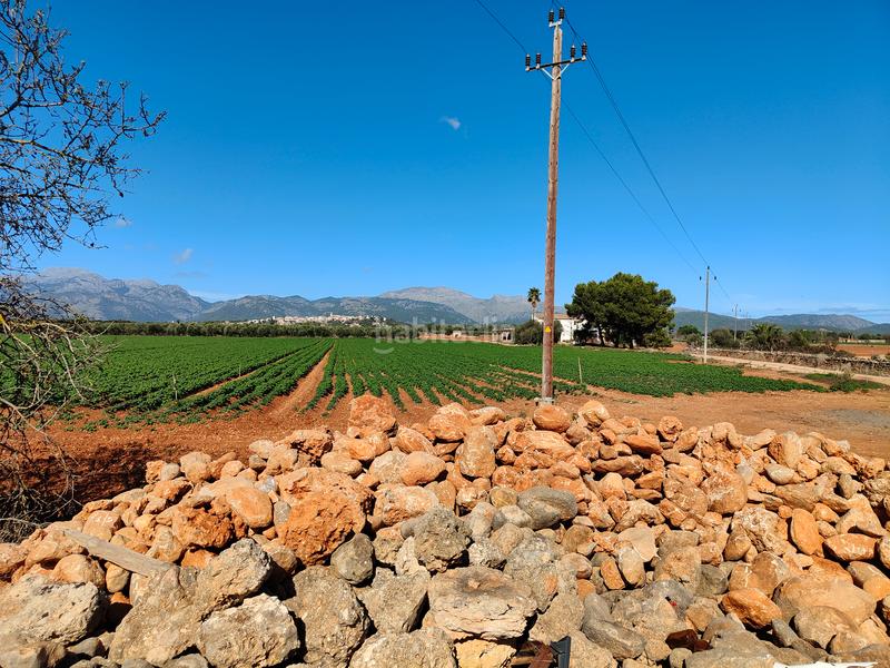 Foto d57de88b-2a16-4057-a138-124b6b8ce5d2. Fondo rustico in carrer major 18 in Búger