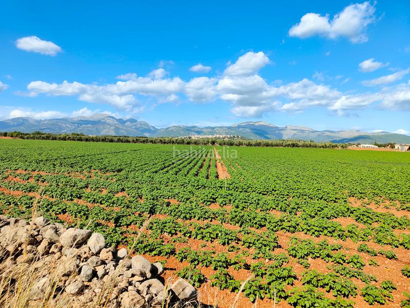 Foto df8450e9-74db-4007-a3b6-690fc08f67dc. Fondo rustico in carrer major 18 in Búger