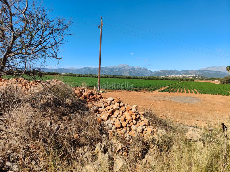 Foto e863a26b-3ecd-420b-8ae8-9704e4c7efc8. Fondo rustico in carrer major 18 in Búger