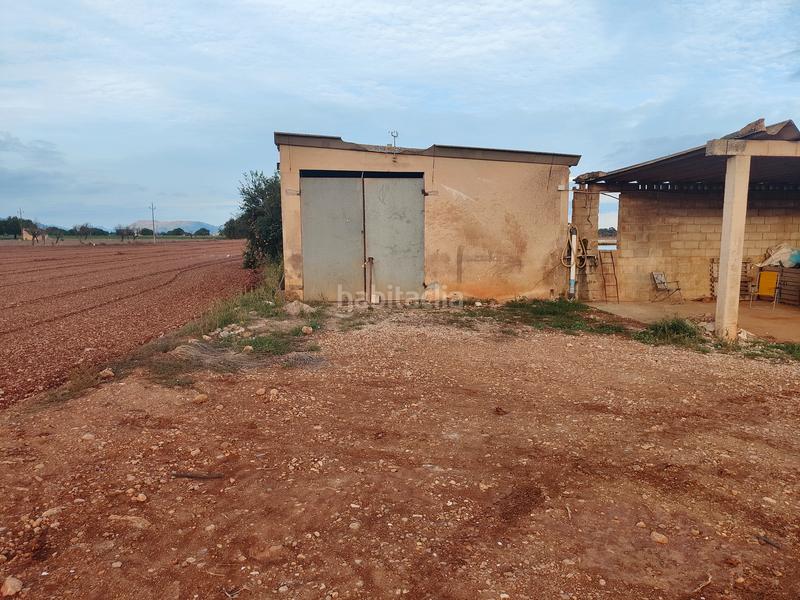 Foto edfb0242-afc3-4db7-ba7f-ab4b78634d70. Fondo rustico in carrer major 18 in Búger