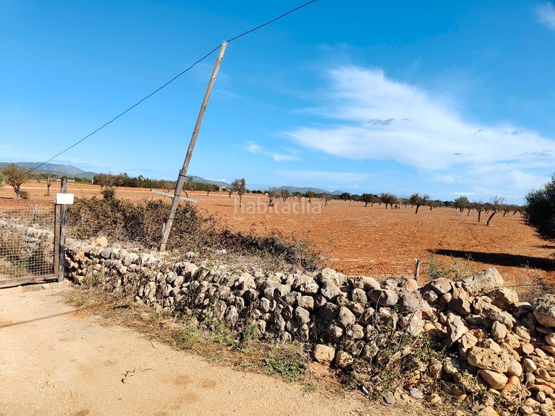 Foto fefbef71-694e-439e-b3c7-8846dc8b2ad4. Fondo rustico in carrer major 18 in Búger