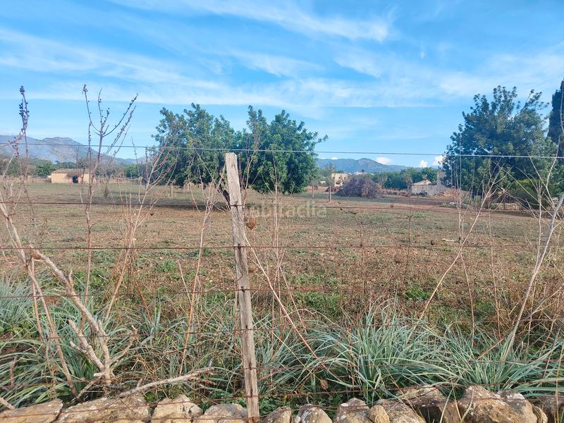 Foto 048b49c6-2231-4657-9ae8-c0f2087d0f07. Finca rústica a camí moscari 26 a Selva