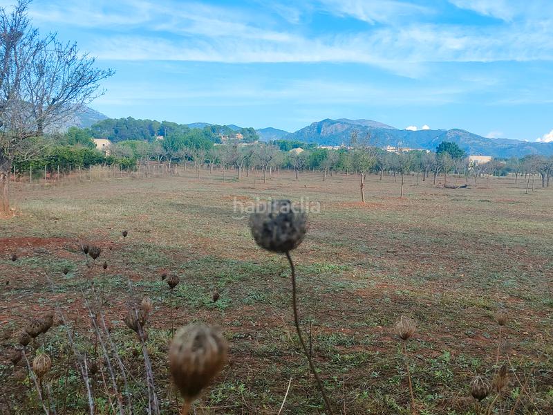 Foto 480f6e39-94ba-4ca6-aabc-40d060b029c1. Finca rústica a camí moscari 26 a Selva