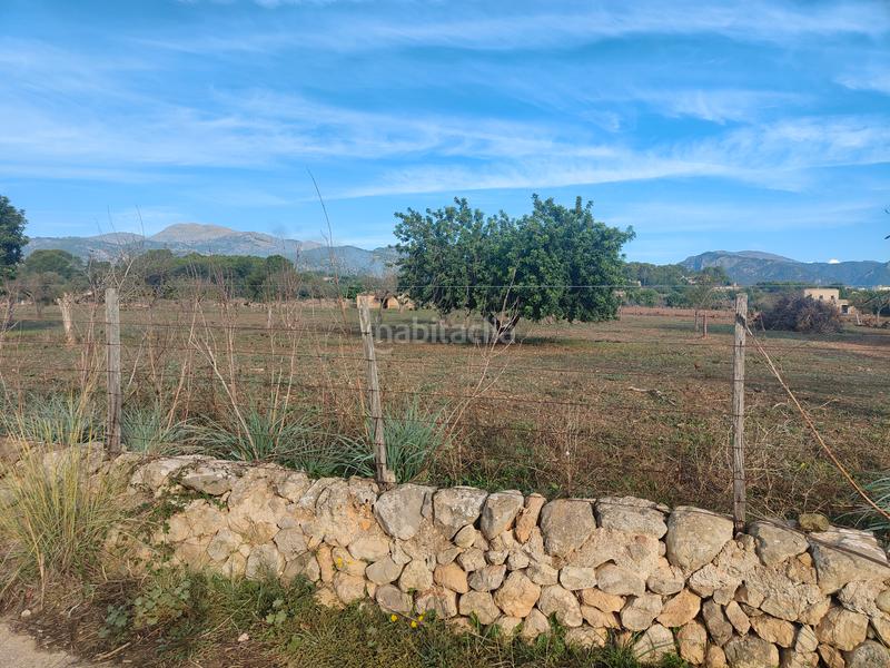 Foto 5bdad0a6-9681-42fd-8f88-3be075fd7e06. Finca rústica a camí moscari 26 a Selva