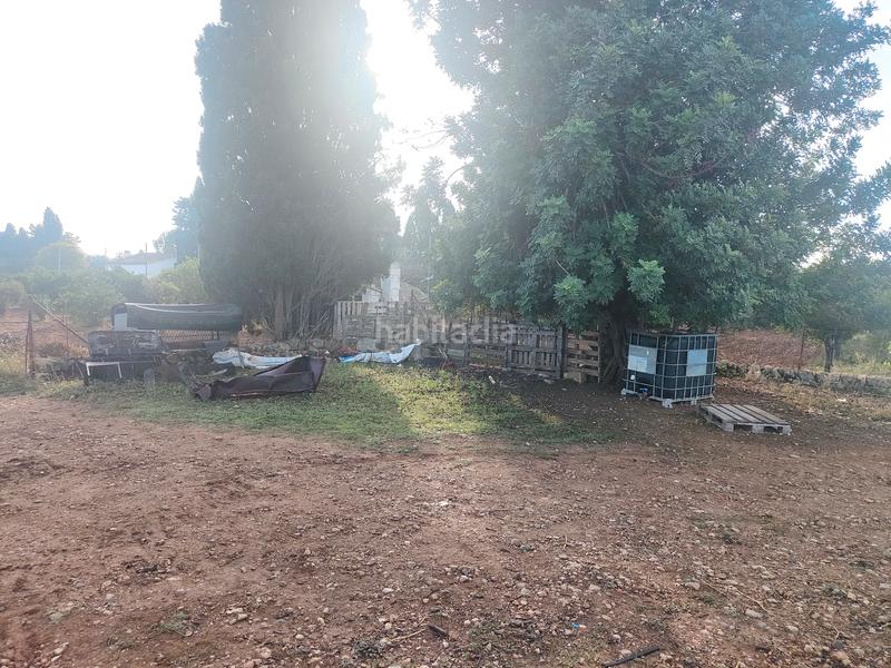 Foto 6299fcc0-0e8e-4598-b274-9413c814e143. Finca rústica a camí moscari 26 a Selva
