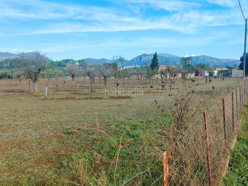 Foto aa8ad82e-6f94-4cc4-8f60-f0e6646f6704. Finca rústica a camí moscari 26 a Selva