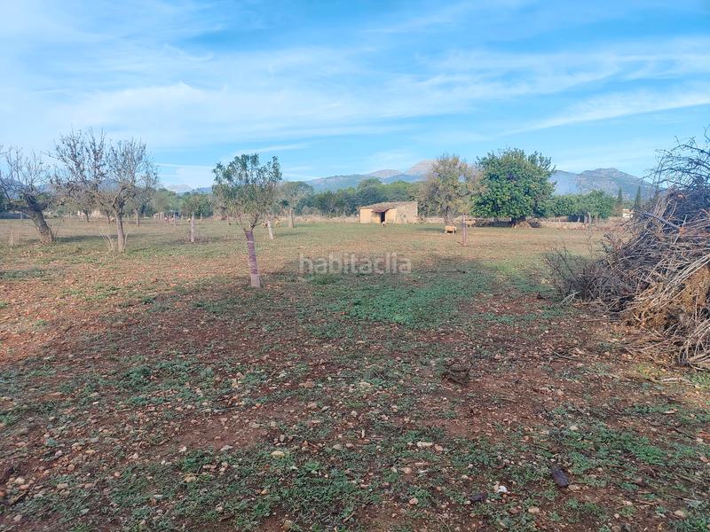 Foto adb4beea-9a4d-4987-988a-9ed55d063b6d. Finca rústica a camí moscari 26 a Selva