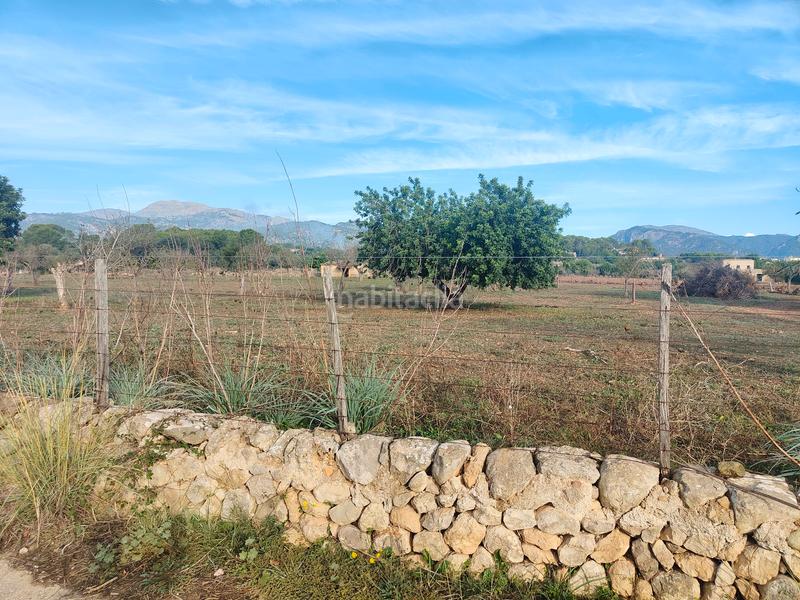 Foto bac146af-284e-4ca2-9dd9-5a375d69b8f3. Finca rústica a camí moscari 26 a Selva