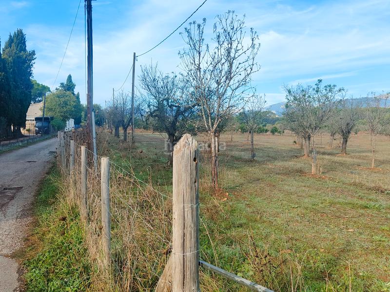 Foto e22747db-0629-47dd-bd48-402873606f83. Finca rústica a camí moscari 26 a Selva
