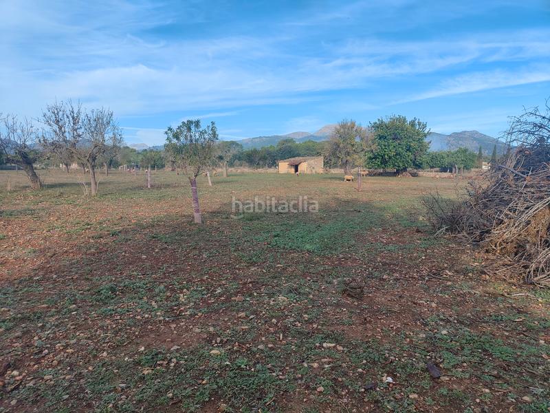 Foto f2d58449-b754-4387-a551-9175955593e3. Finca rústica a camí moscari 26 a Selva