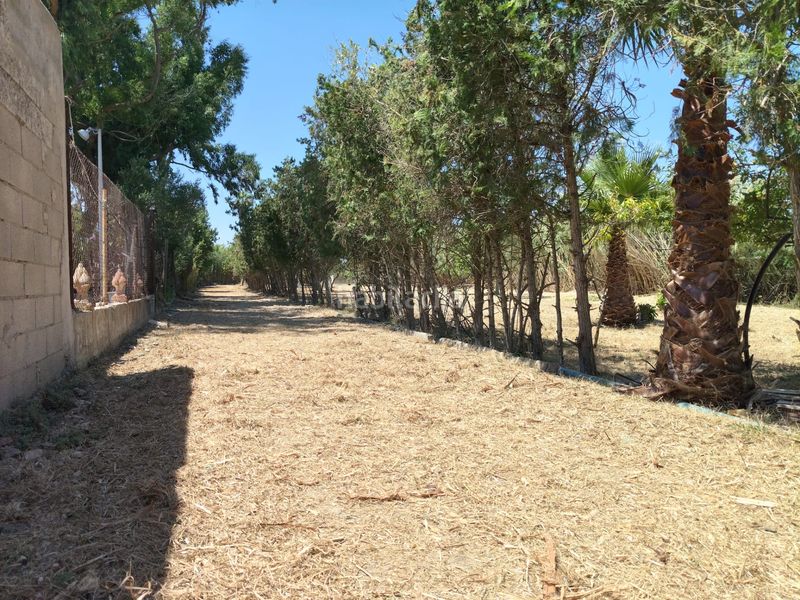 Foto 0005ee11-5c3a-4e67-89a7-4a2834ff2765. Masia amb xemeneia a Muro