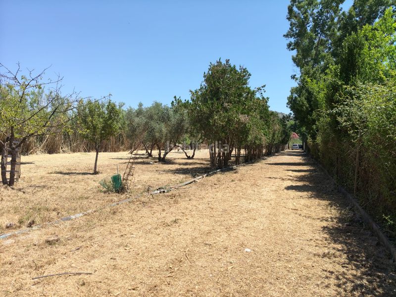 Foto a17d6e0e-949c-4ea4-be61-47b5f80ac40f. Masia amb xemeneia a Muro
