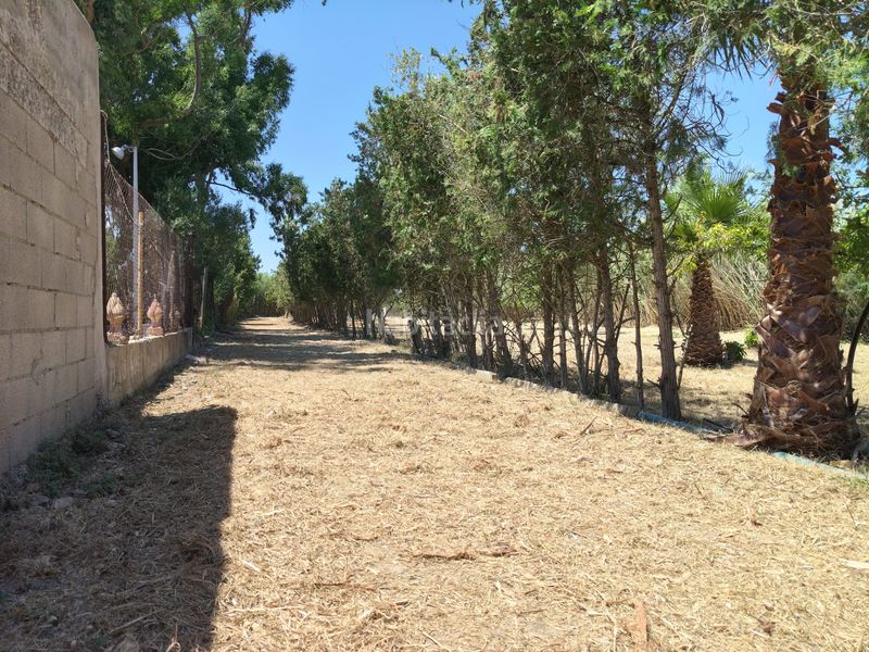 Foto d066ba7c-b30a-456d-9ee7-6d48644a7247. Masia amb xemeneia a Muro
