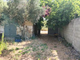Masía en Pollença Poble. Finca rustica con caseta