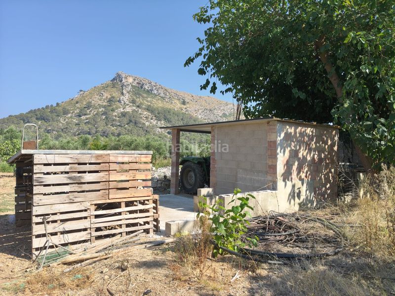 Foto 0eb9a2d2-3c6b-4bd8-b90e-5dece796b788. Finca rústica a ciutat d´Alcúdia Alcúdia