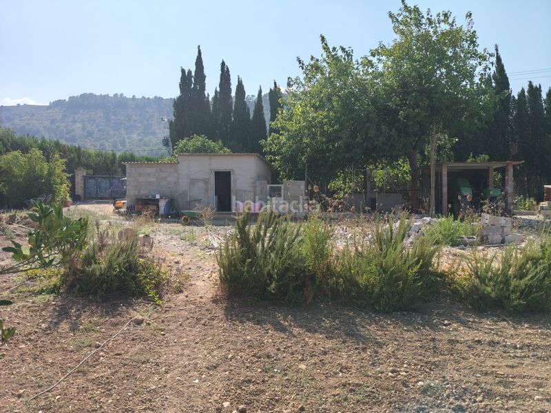 Foto 342d7343-ee3e-4bfa-aaa0-90a3553a92cc. Finca rústica a ciutat d´Alcúdia Alcúdia