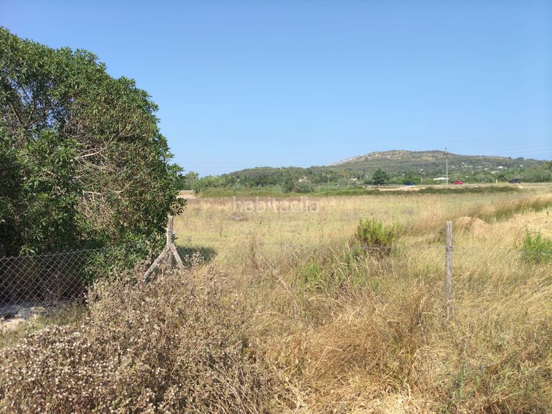 Foto 9a73d7c9-fbac-426a-bac1-12278dd478d1. Finca rústica a ciutat d´Alcúdia Alcúdia