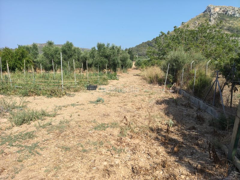 Foto a91b80c8-689d-4727-997b-3529d97180b5. Finca rústica a ciutat d´Alcúdia Alcúdia