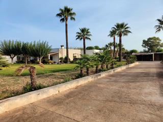 Masia a Port d´Alcúdia-Platja dÁlcúdia. Finca rústica en port d'alcudia