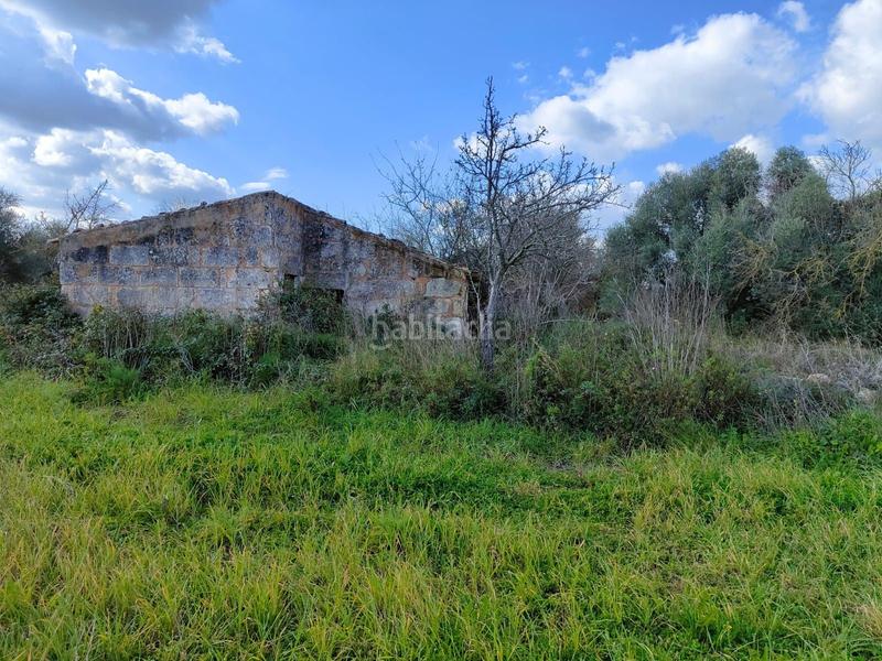 Foto 366279f2-5ffc-4161-b12b-4e6393956352. Masia a Campanet