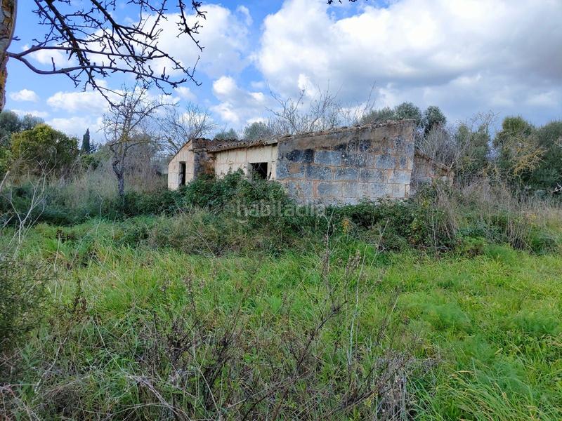 Foto 38a6d6dd-21b0-4674-ad32-03473ccc5de5. Masia a Campanet