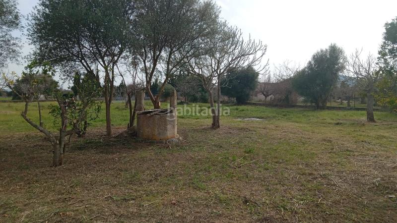 Foto 3d188210-74b7-42f1-b825-3a4cd354716d. Masia a Campanet
