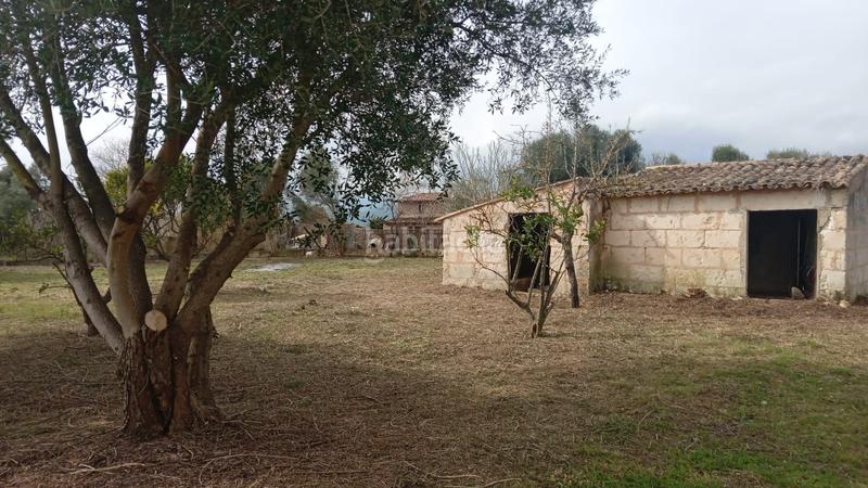 Foto 41179638-4e26-4182-a53b-355244d0249b. Masia a Campanet
