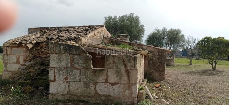Foto 6b32ac82-9a81-4729-8fe0-4906acc06f9a. Masia a Campanet