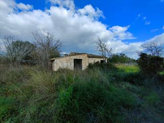 Masia a Campanet. Finca en búger, con casa y pozo