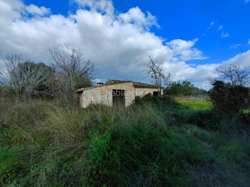 Foto a83475e0-ccb2-45d6-afaa-72b54945b310. Masia a Campanet