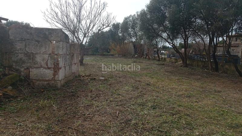 Foto d493481c-369c-4fc3-8fd8-c96da6f3077f. Masia a Campanet