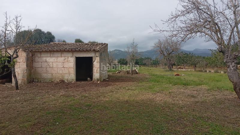 Foto d845df44-0966-4310-8a04-8bfa2066469d. Masia a Campanet