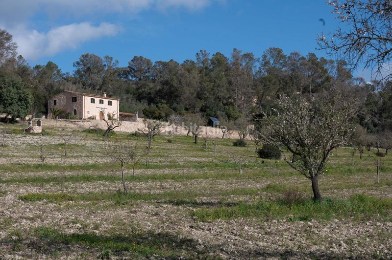 Foto 5baf6aef-4843-4502-b6df-c65fa84c3fb7. Masia amb calefacció aparcament a Sineu