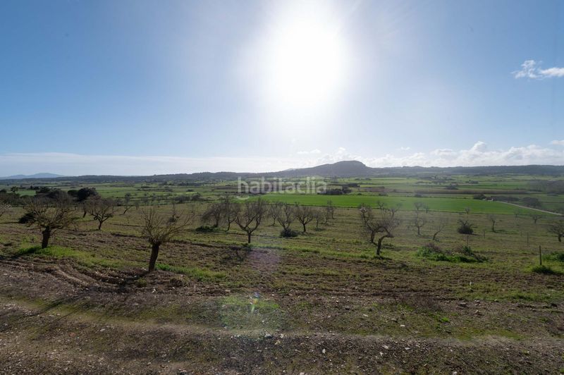 Foto bf69153c-33e5-4725-a066-c13368944f2a. Masia amb calefacció aparcament a Sineu