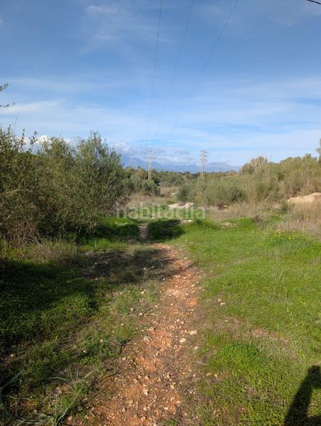 Foto 06df4db1-4326-42ce-9bb7-3ab3bee445d8. Finca rústica a Sineu