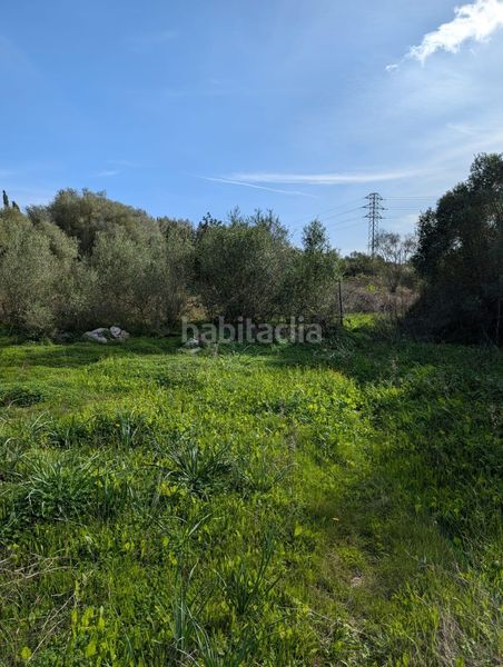 Foto 84deeb50-5d3c-4db3-bdeb-29a3a065b610. Finca rústica a Sineu