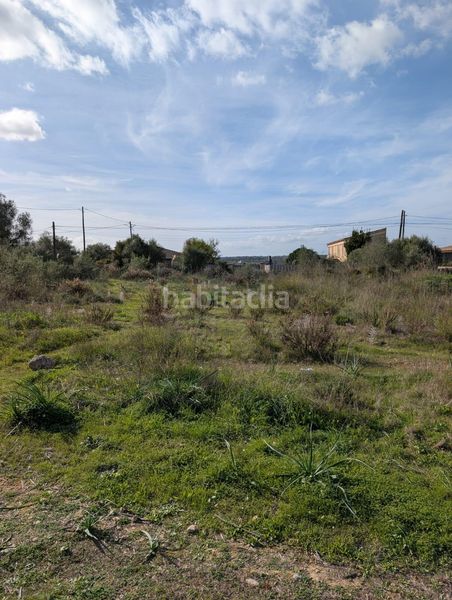 Foto a8a75e68-cf48-418b-ae5e-837144b5d85e. Finca rústica a Sineu